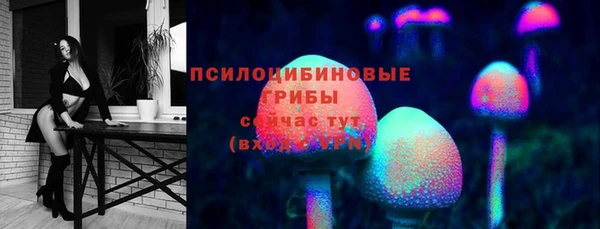 бошки Магас