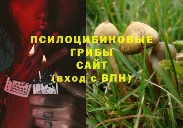 прущая мука Майский