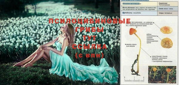 COCAINE Анива